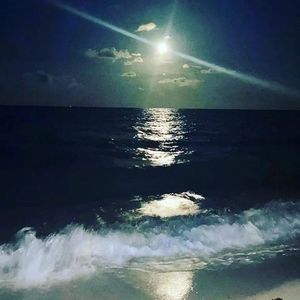 Meet your Posher, Judith